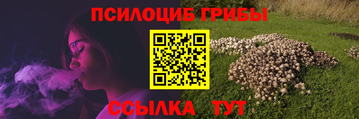 Сыктывкар  Галлюциногенные грибы прущие грибы  Вход с VPN 