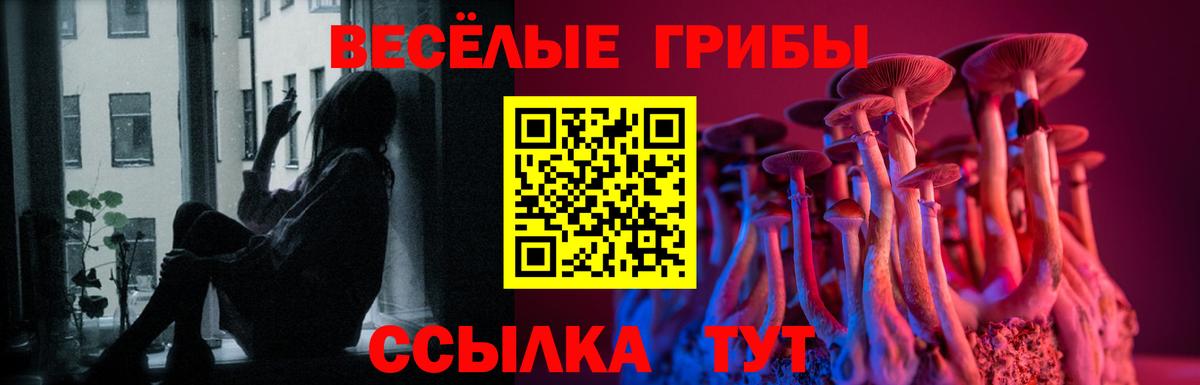 Галлюциногенные грибы Magic Shrooms Сыктывкар